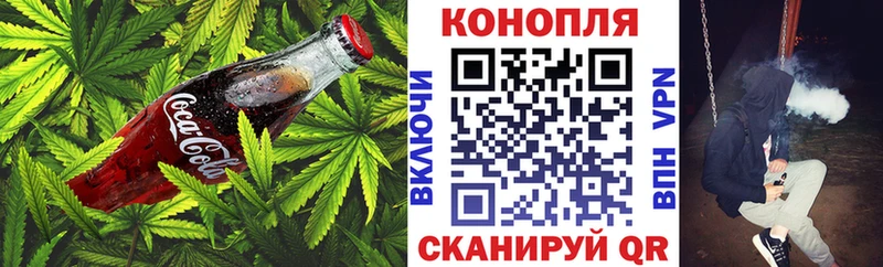 гидра ONION  Светлогорск  Еда ТГК марихуана  где купить наркоту 