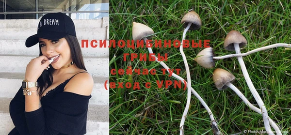 меф Белокуриха