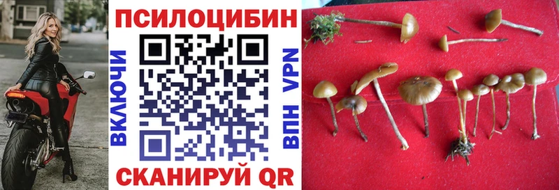 Галлюциногенные грибы Psilocybine cubensis  omg ссылки  Светлогорск 